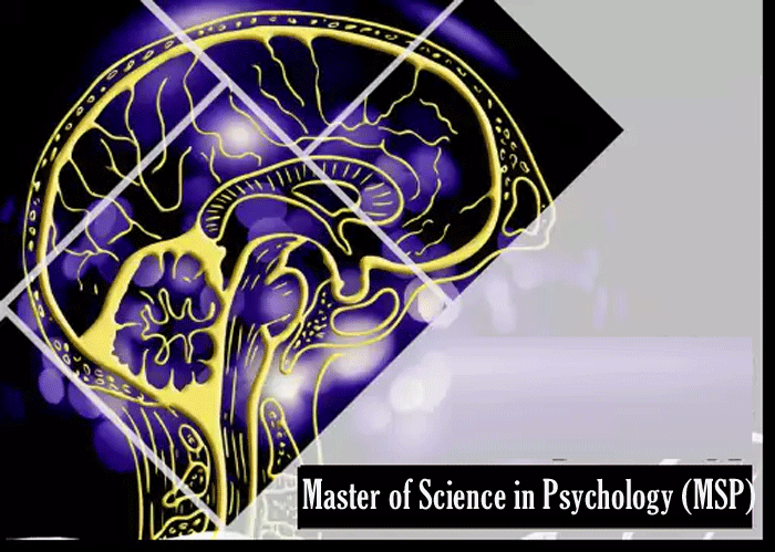 master of science in psychology (msp)