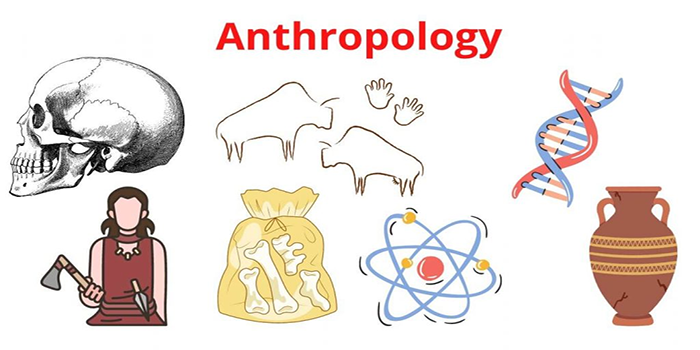 Anthropology