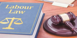 Employment Law