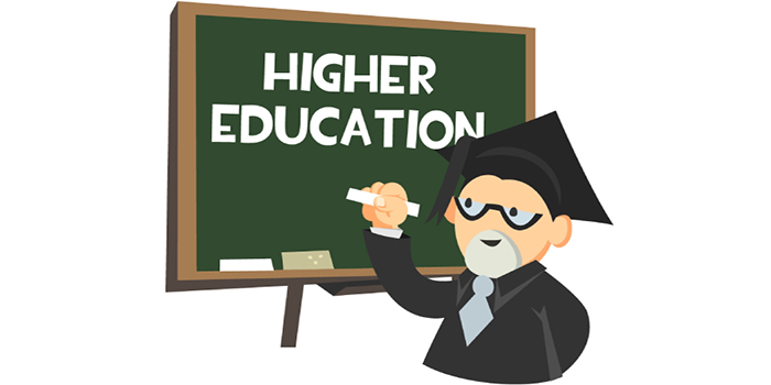 Higher Education