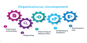 Organizational Development