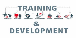 Training and Development